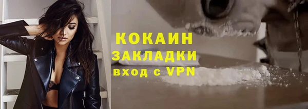 мет Каменка