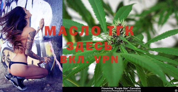 сатива Алексеевка