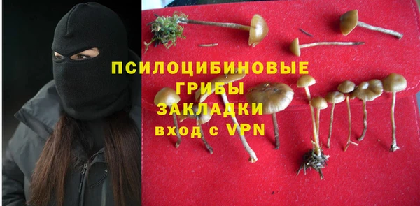 сатива Алексеевка