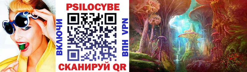 Псилоцибиновые грибы Magic Shrooms  что такое наркотик  Камбарка 