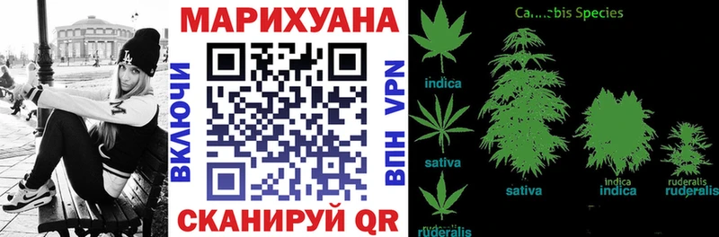 Канабис семена Камбарка